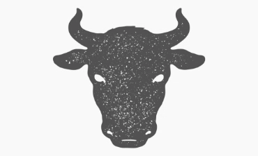 ikona bydła